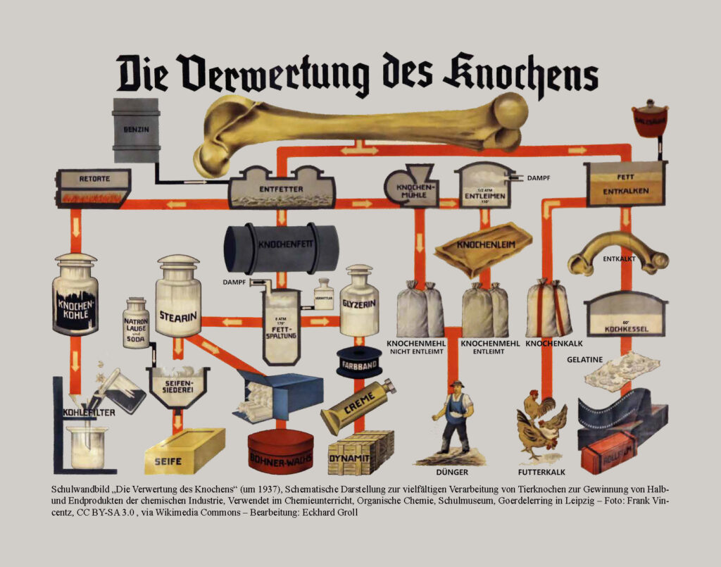 Ausstellungstafel Verwendung der Knochen