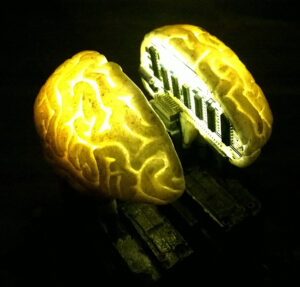 Brains II