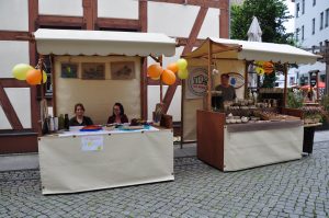 Stadtfest FinE 2017 - Mühlenkünstler
