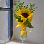 sonniger Gruß einer Besucherin