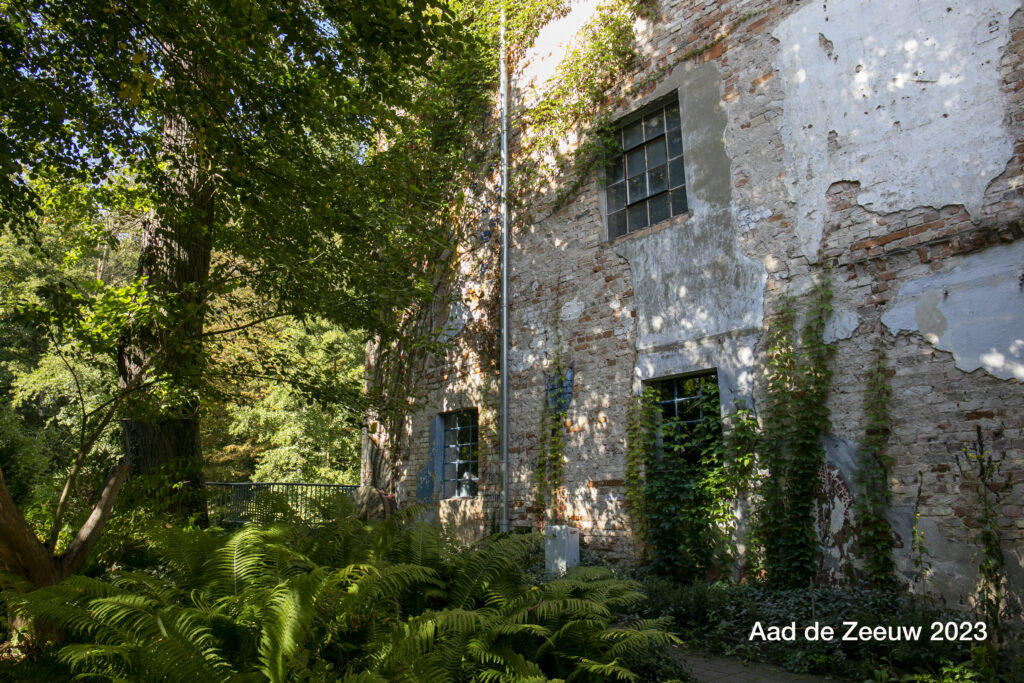 Aad de Zeeuw 2023 Ostseite der Mühle