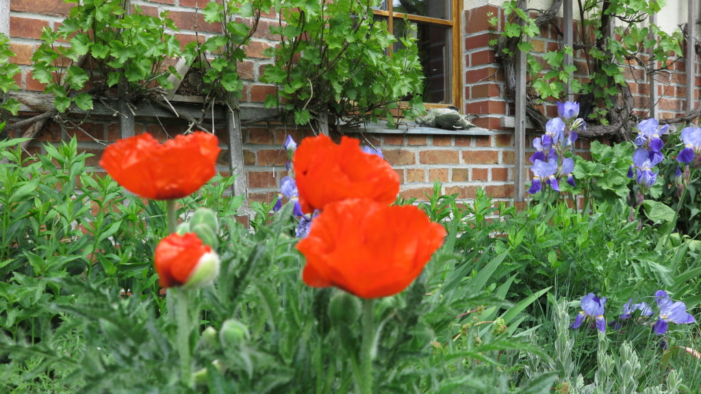 Urticahof - im Garten